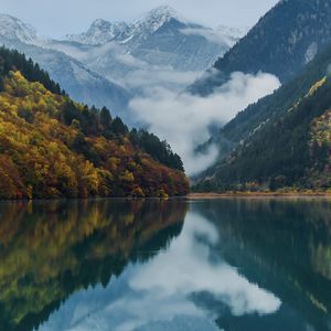 屋顶花园的星光