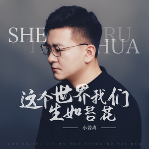 这个世界我们生如苔花