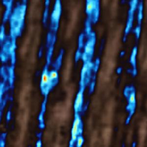 Layering Feelings (Added Funny Mix)