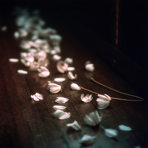 Love Me or Love Me Not