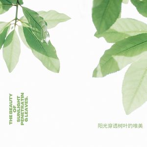 屋边小溪的潺潺声 (古筝)