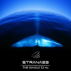 The Whale 52 Hz (Part 1 Downtempo)