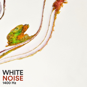 Traumschlafrauschen 1.4 kHz