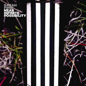 Yellow (feat. John Andrews, Paul Bushnell & Josh Freese)