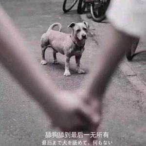 林俊杰-可惜没如果-remix（健身肥宅 remix）