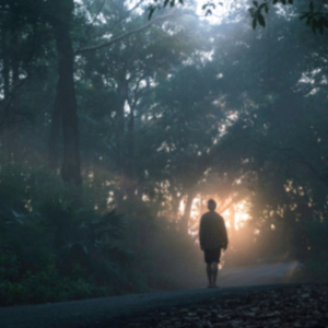 Prelude to the Unknown