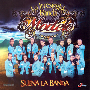 12 Rosas