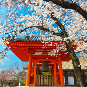 Frequencies for Mental Shifts