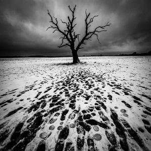 Выкраси правдой