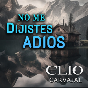 No Me Dijistes Adios