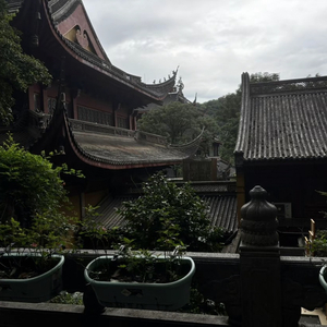 纸鸢的轨迹 .mp3