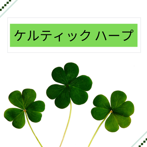 想いの馳せる森