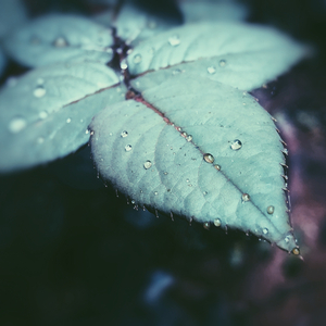Rains and Drains