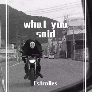 What you said