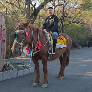 蒙古草原 (伴奏)