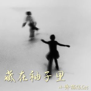 藏在袖子里（prod by ynJasper）