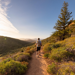 La Melodía Que Fluye