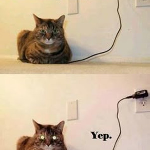 Diamonds Is Forever (slowed)