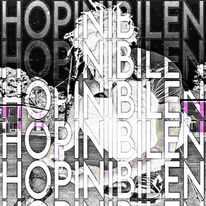 HOPINIBILEN