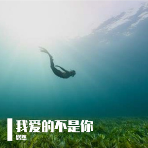 我爱的不是你