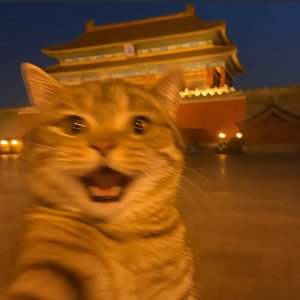 繁华都看透才懂平凡的温柔