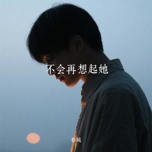 不会再想起她