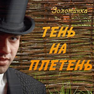 Тень на плетень