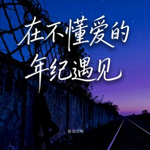 在不懂爱的年纪遇见