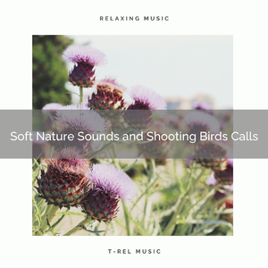 Feel High Relax with Soothing Nature Tunes for Relax pt. 1