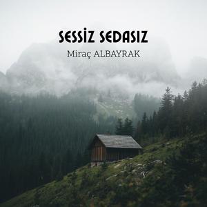 Sessiz Sedasız