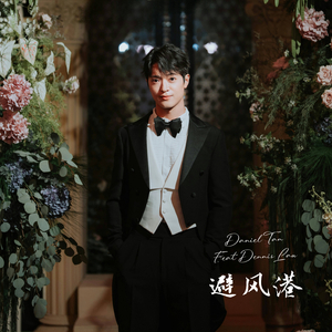 避风港 (Safe Harbour)