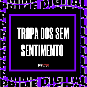 TROPA DOS SEM SENTIMENTO
