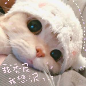 迷失幻境（DJ版）（翻自 IN-K/王忻辰）
