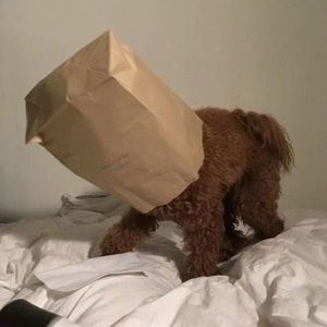 思念是一种病