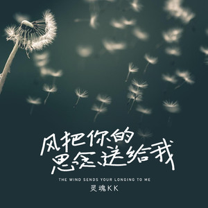风把你的思念送给我