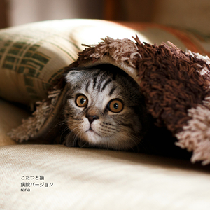 こたつと猫 (病院バージョン)