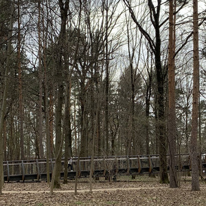 Заменители счастья