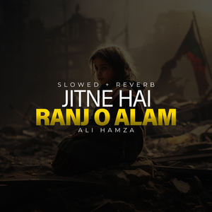 Jitne Hai Ranj o Alam Lofi