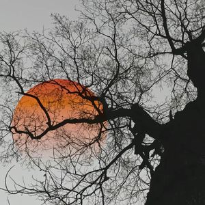 致姗姗来迟的你