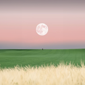 ［Free］Chill Style Type Beat