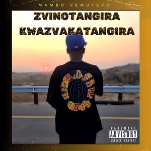 Zvinoita Rudo
