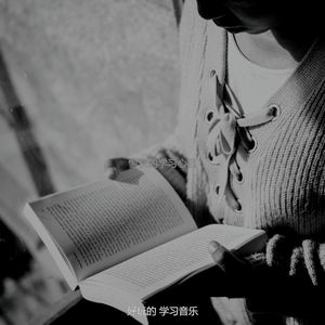 柔和的学习时刻