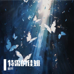 特需的佳姐