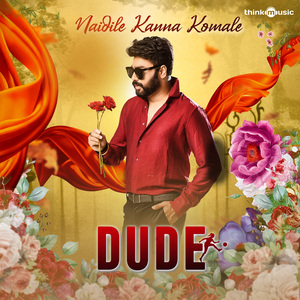 Naidile Kannada Komale (From "Dude")