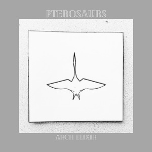 Pterosaurs
