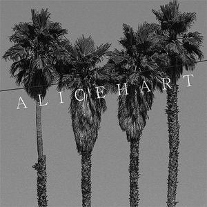 바람 부는 하와이에서