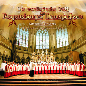 Domine labia mea aperies:Domine labia mea aperies