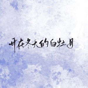 开在冬天的白牡丹