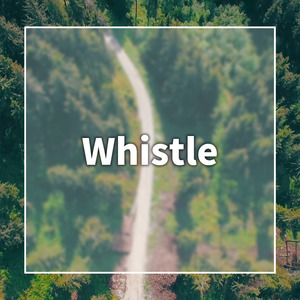 Whistle