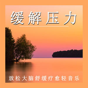 压力缓解之歌 (钢片琴)